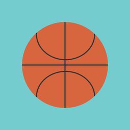 爱游戏官网app-中国篮球职业联赛市场竞争环境与发展策略，中国竞技篮球的发展趋势